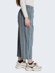 Pantaloni in cotone con righe verticali